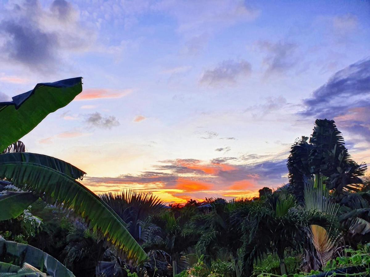 Villa Ohana Sainte-Anne  Dış mekan fotoğraf
