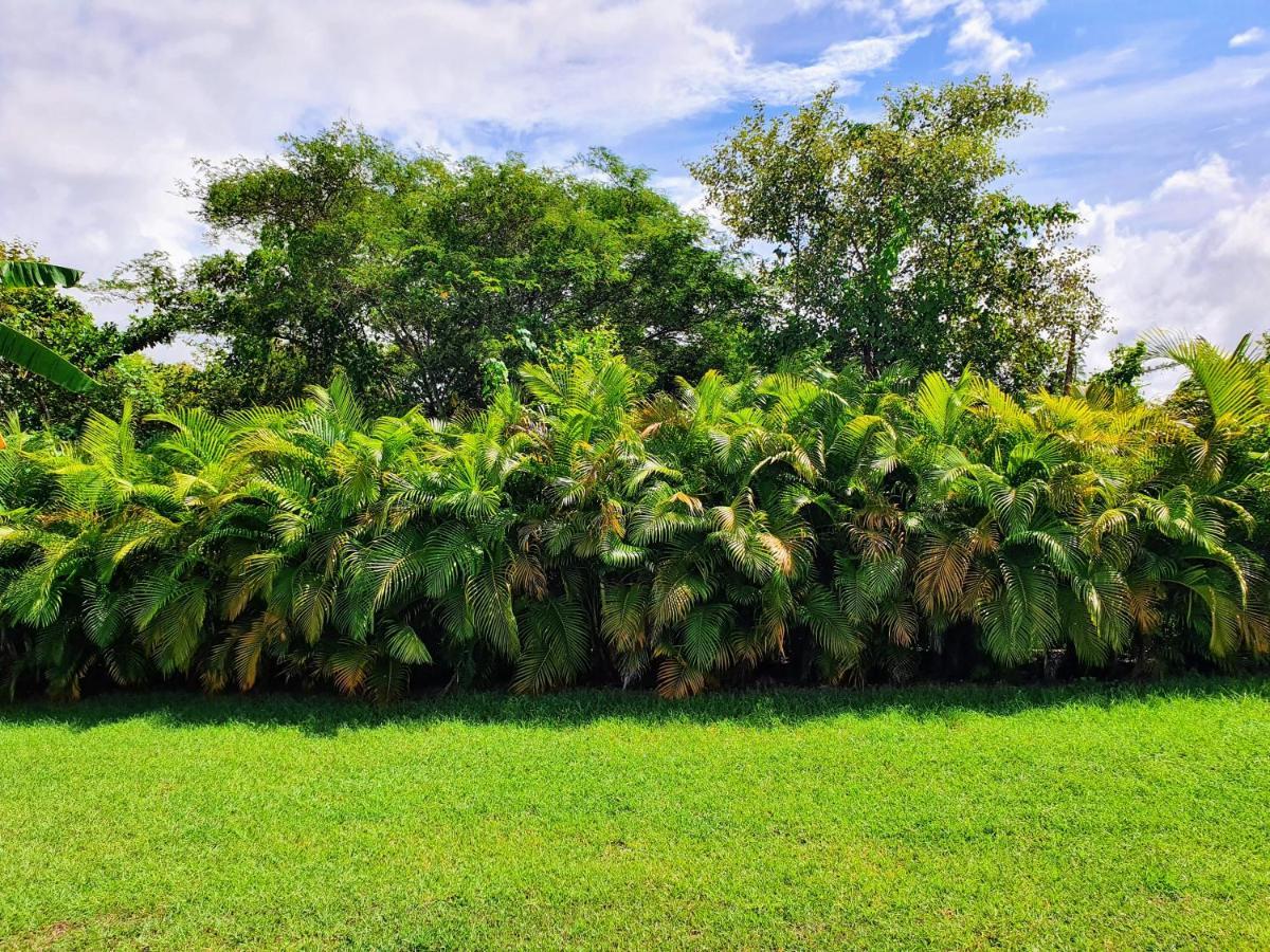 Villa Ohana Sainte-Anne  Dış mekan fotoğraf